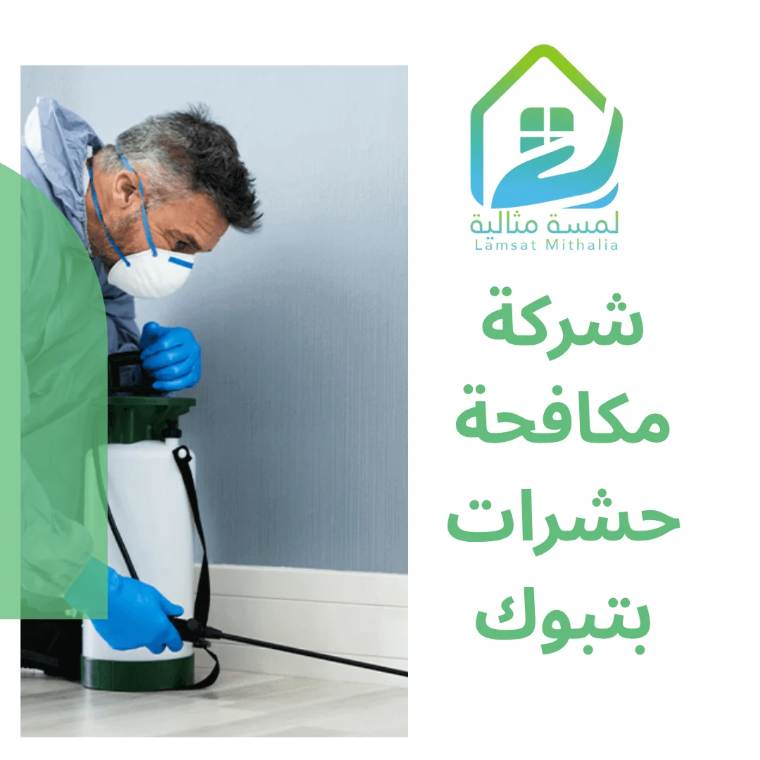 شركة مكافحة حشرات بتبوك