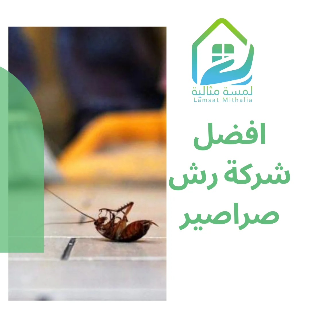 افضل شركة رش صراصير
