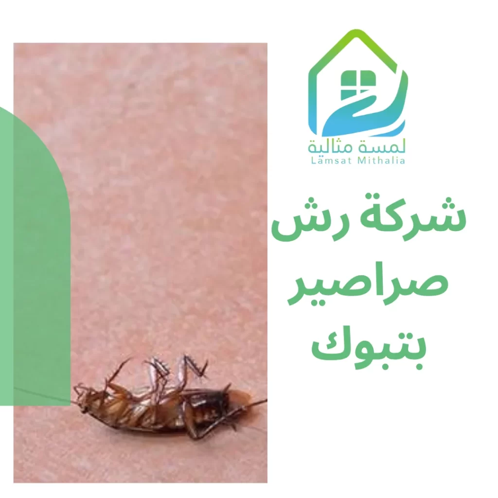 افضل شركة رش صراصير