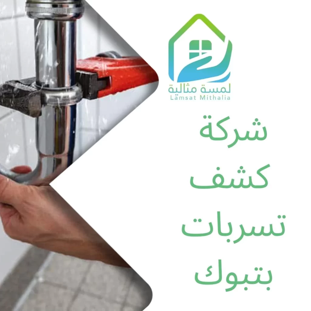 شركة كشف تسربات بتبوك